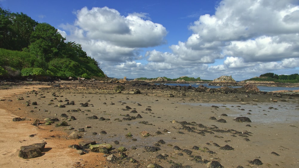 a sandy beach with trees and rocks