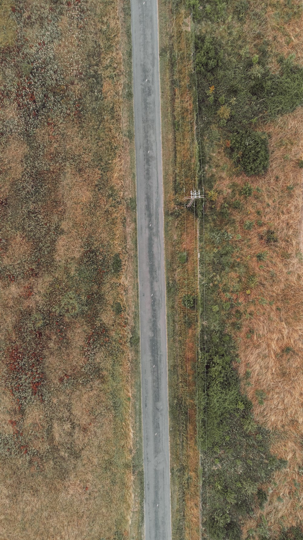 a road with trees on the side