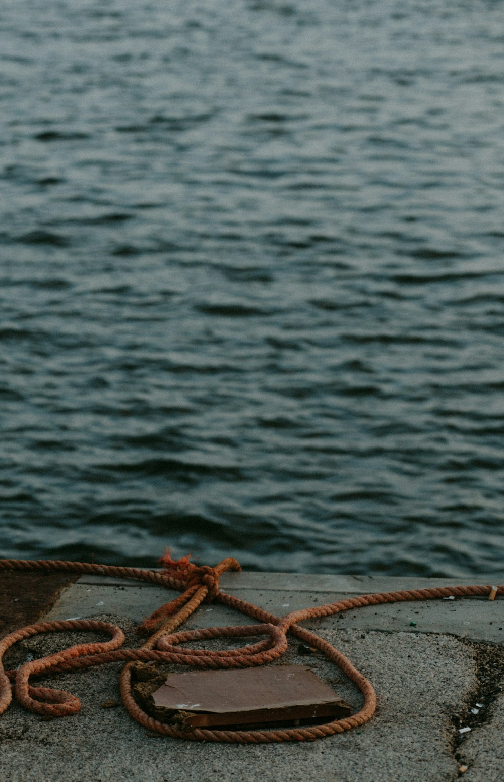 a rope on a beach