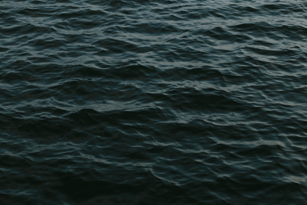 a body of water with waves