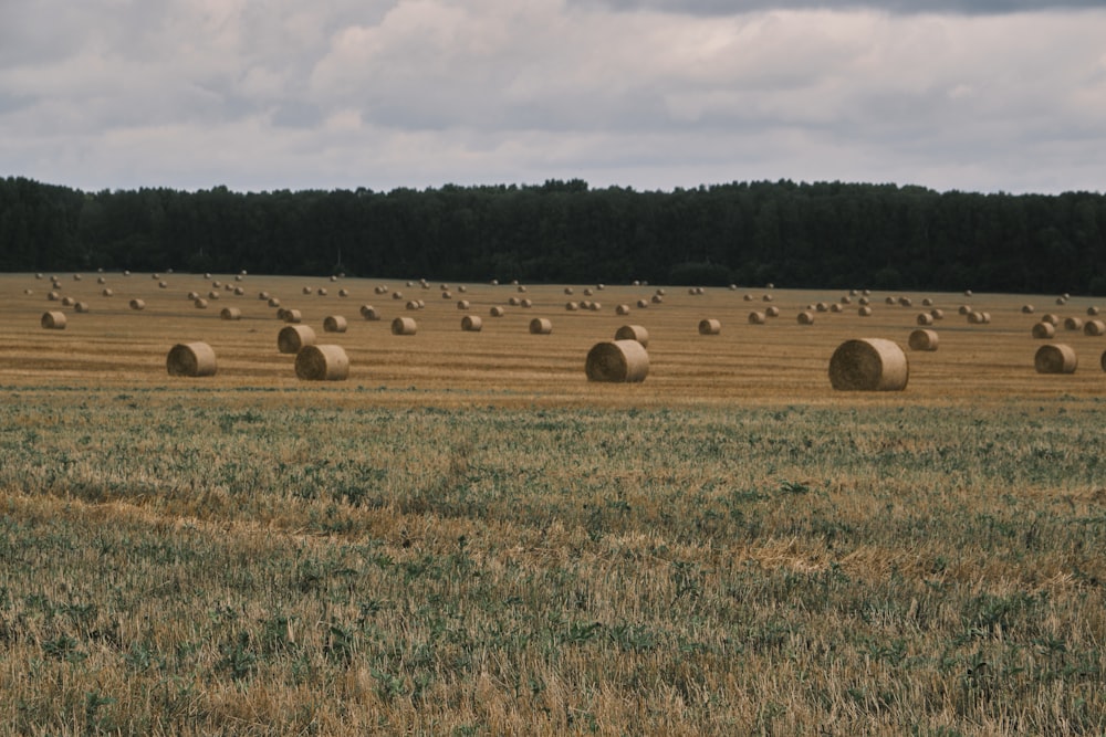 a large field with many bales of hay in it