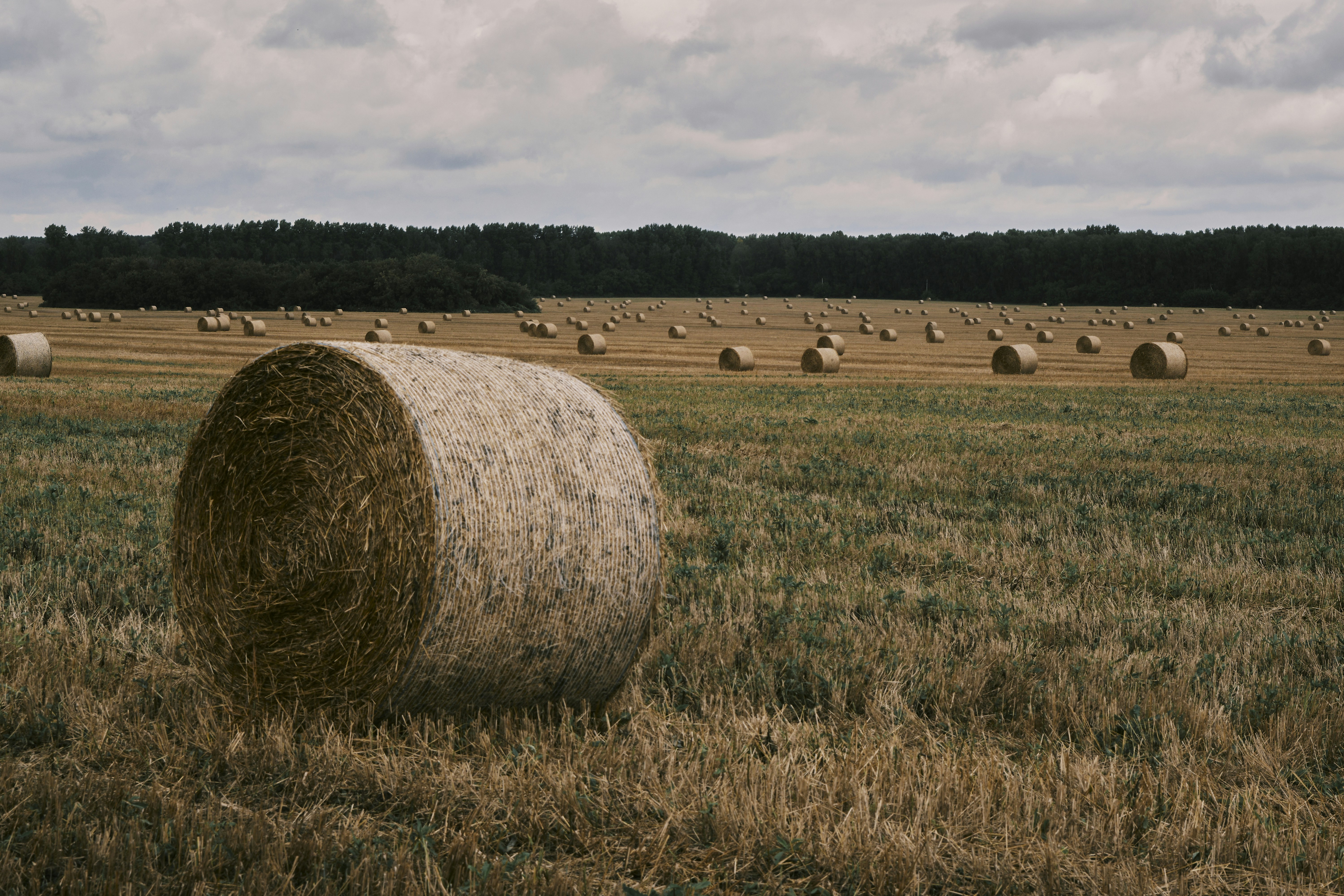 Photo by mrparalloid