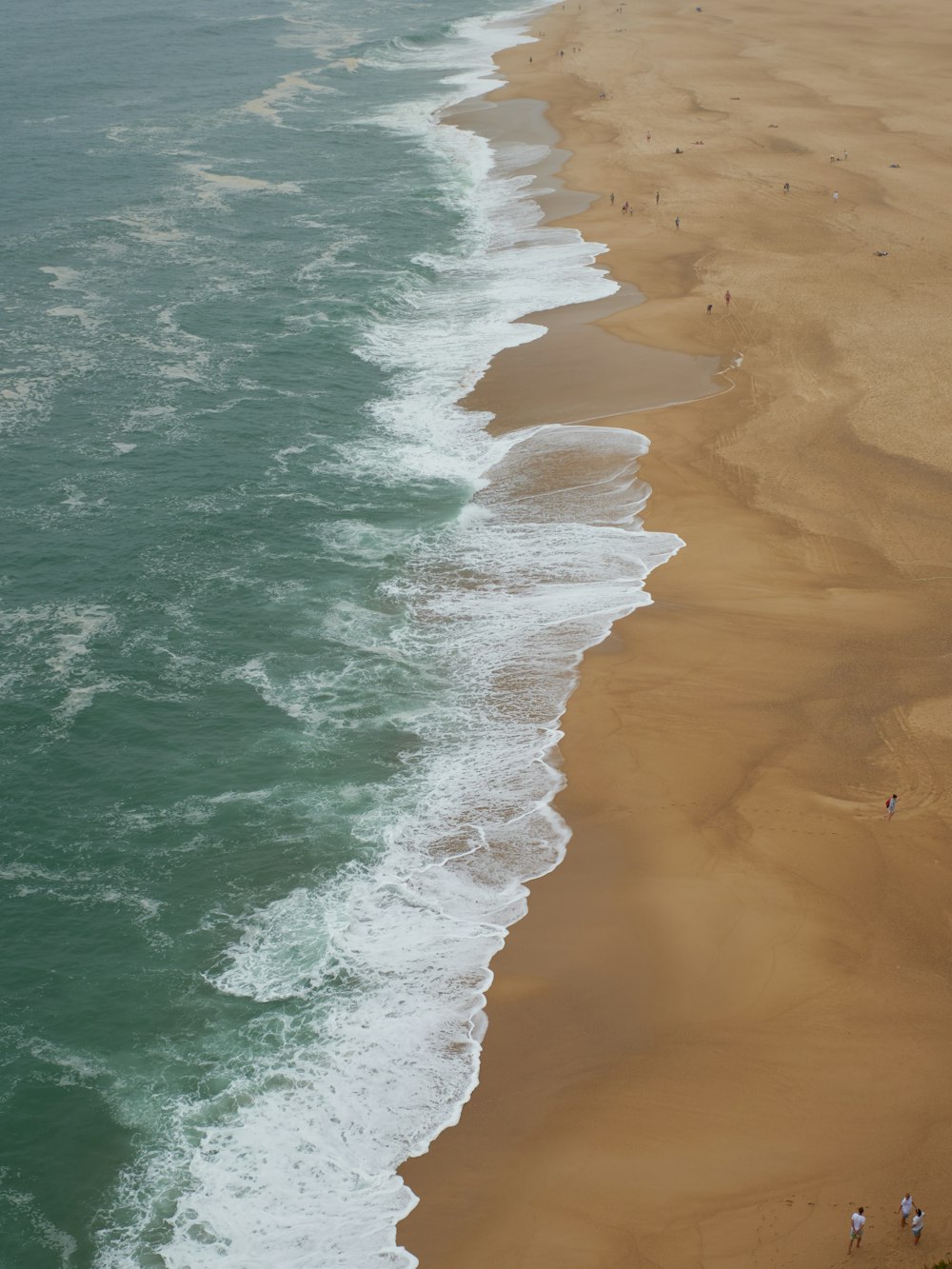 a beach with people on it