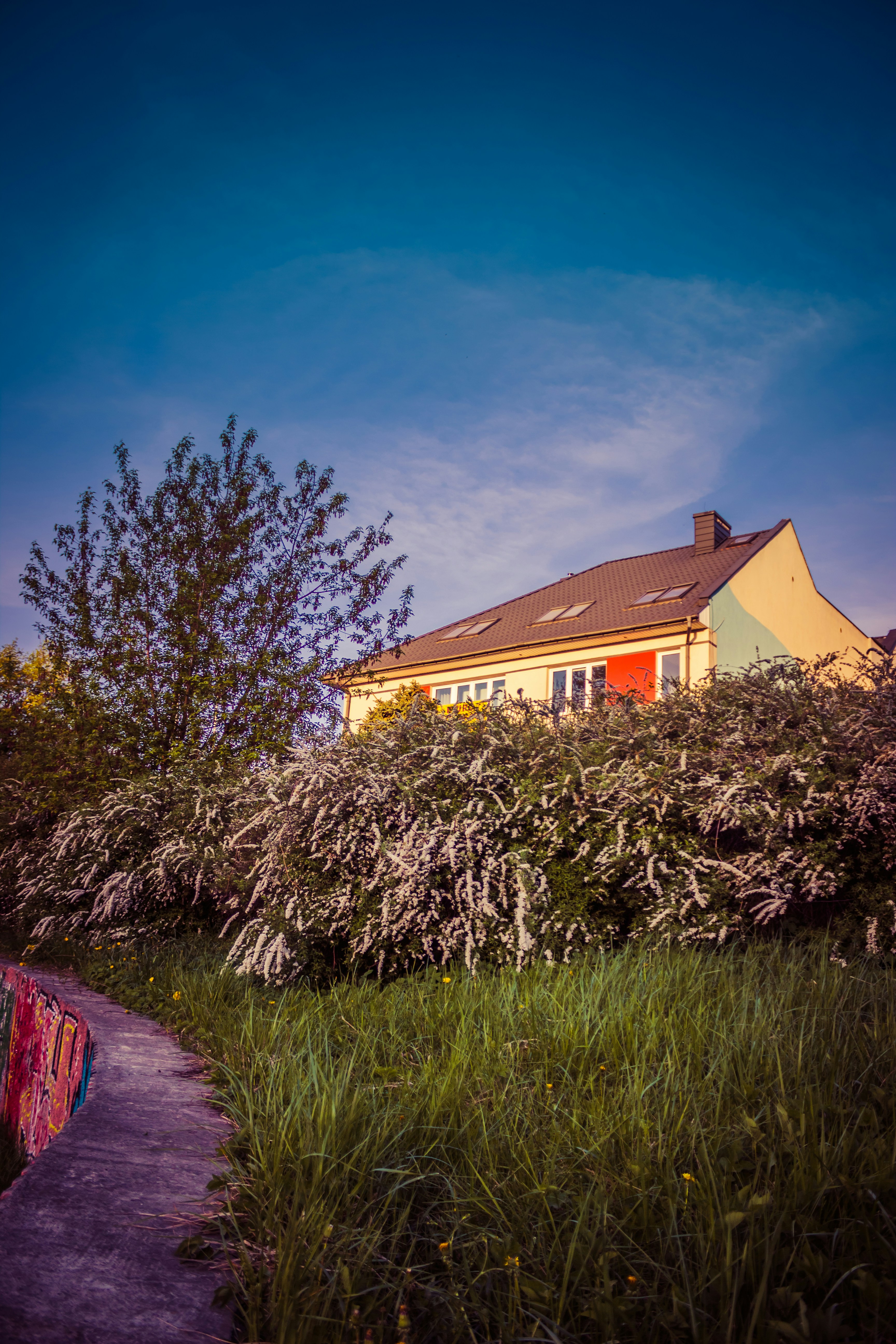 A house with a path and trees in front of it