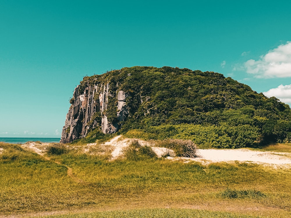 a large green mountain