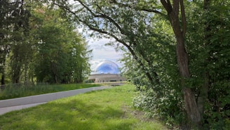 A pathway leads through a lush, green forest clearing toward a building with a large domed structure that reflects a blue sky with some clouds.