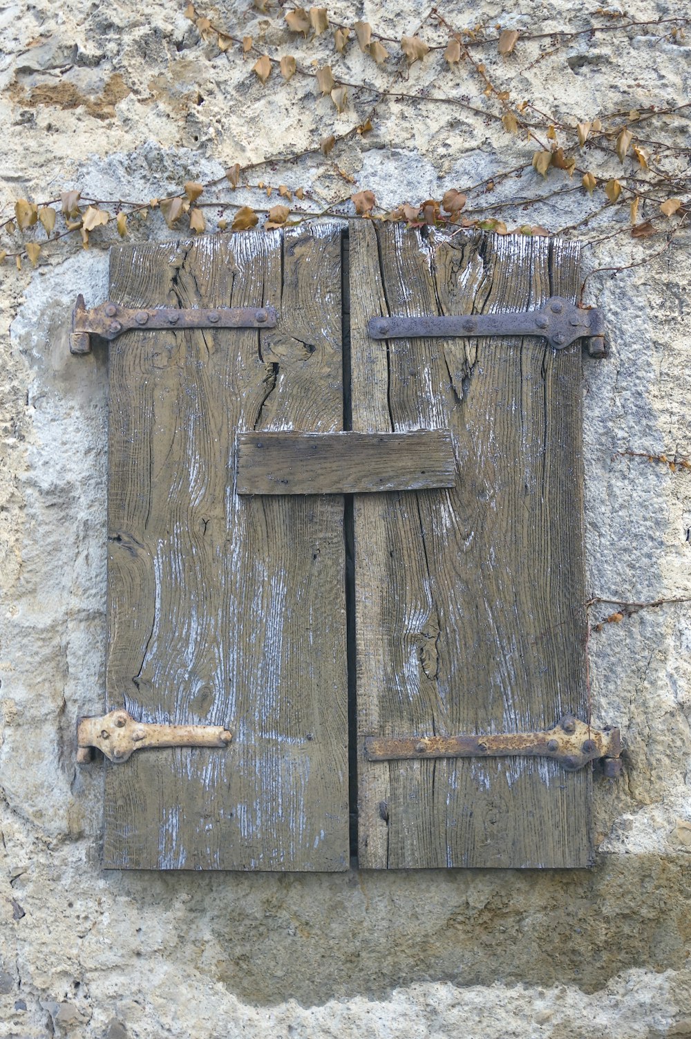 eine Holztür mit Griff