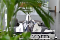 A Formula 1 race car is positioned indoors, partially obscured by green plant leaves in the foreground. The car features prominent branding and a sleek, aerodynamic design.