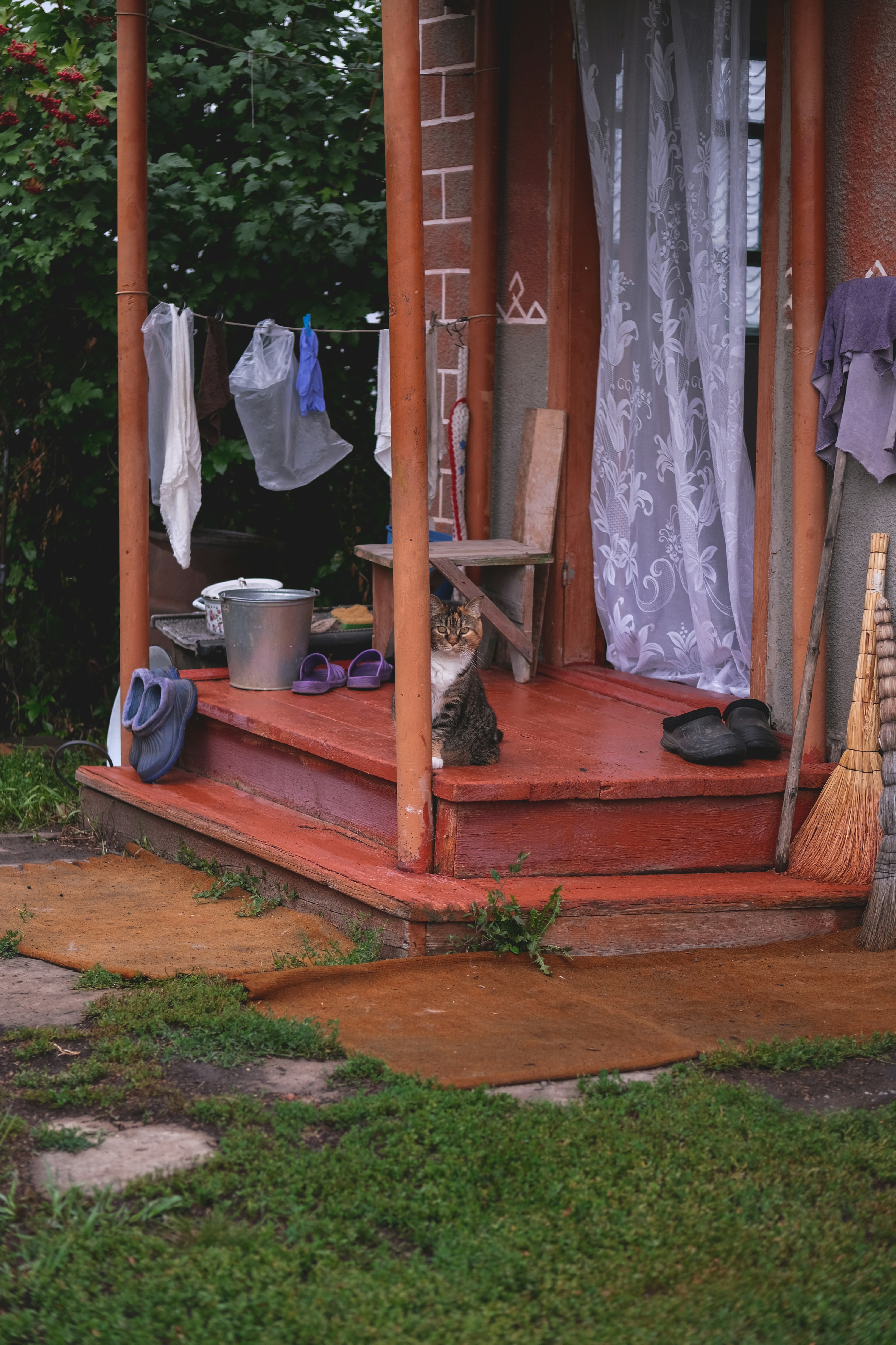 A cat sitting on a porch photo – Free Jar Image on Unsplash