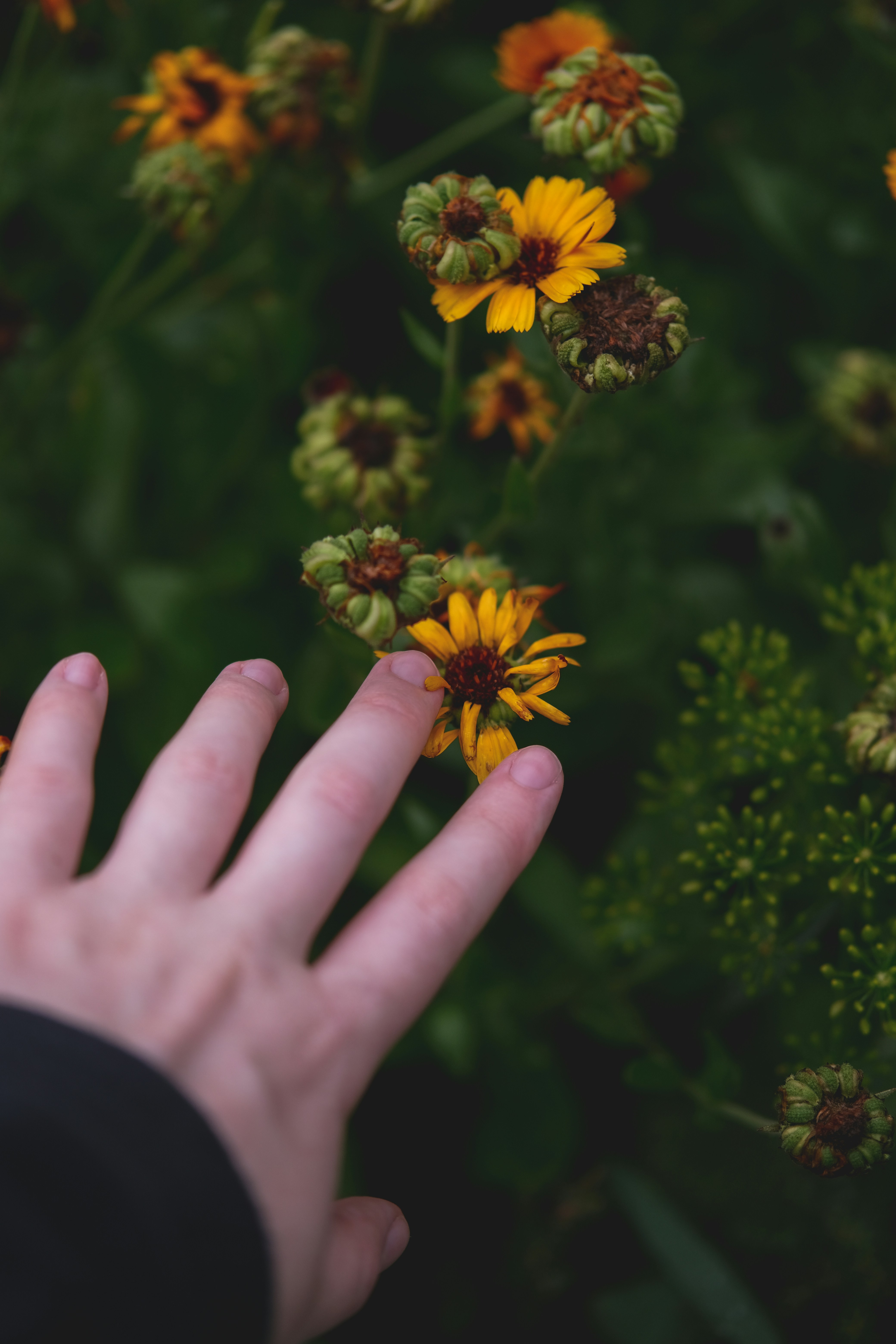 Photo by rolig_basseng