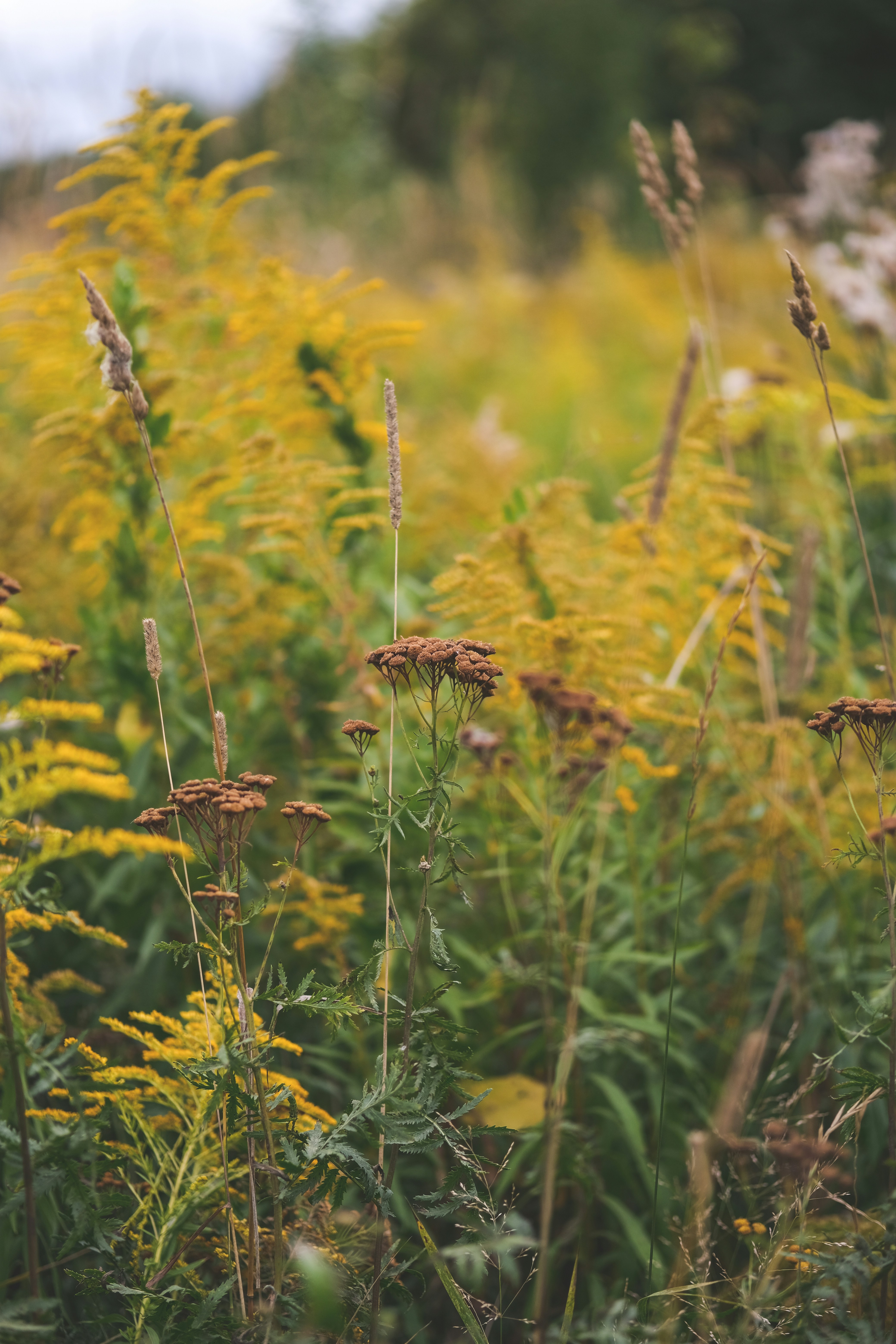 Photo by rolig_basseng