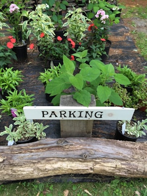 A variety of potted plants with lush green foliage and colorful flowers are arranged on a black fabric ground covering. A wooden log serves as a barrier in the foreground, while a rustic sign labeled 'Parking' is set among the plants on a wooden post.
