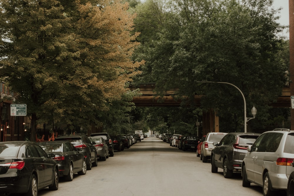 a road with cars on it and trees on the side