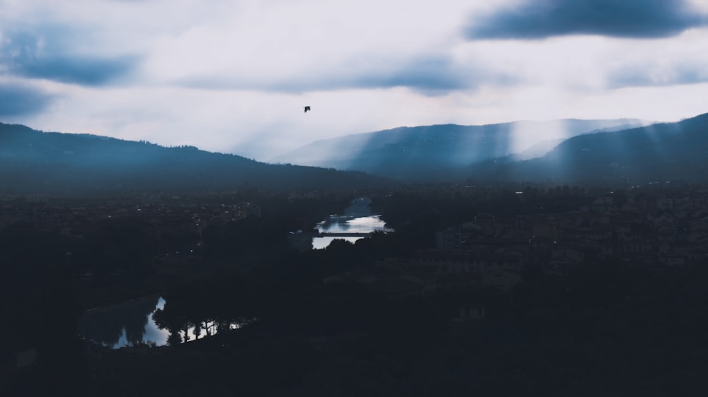 a bird flying over a city