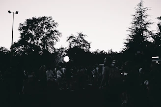 Monochrome image of a group stretching together outdoors in a park with tall trees.