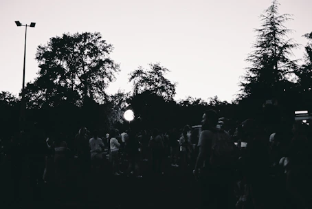 Monochrome image of a group stretching together outdoors in a park with tall trees.
