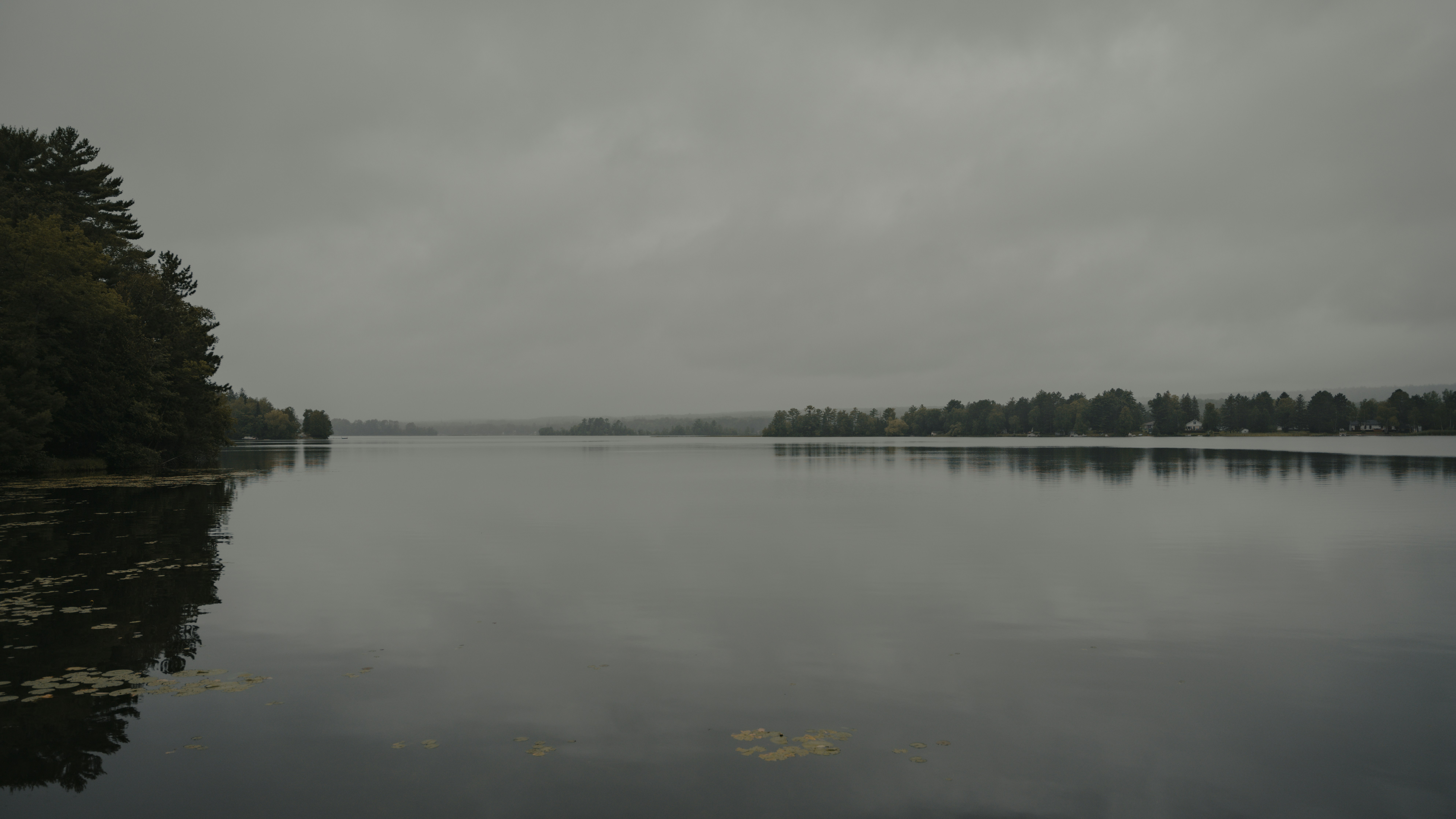 Photo by matias_north