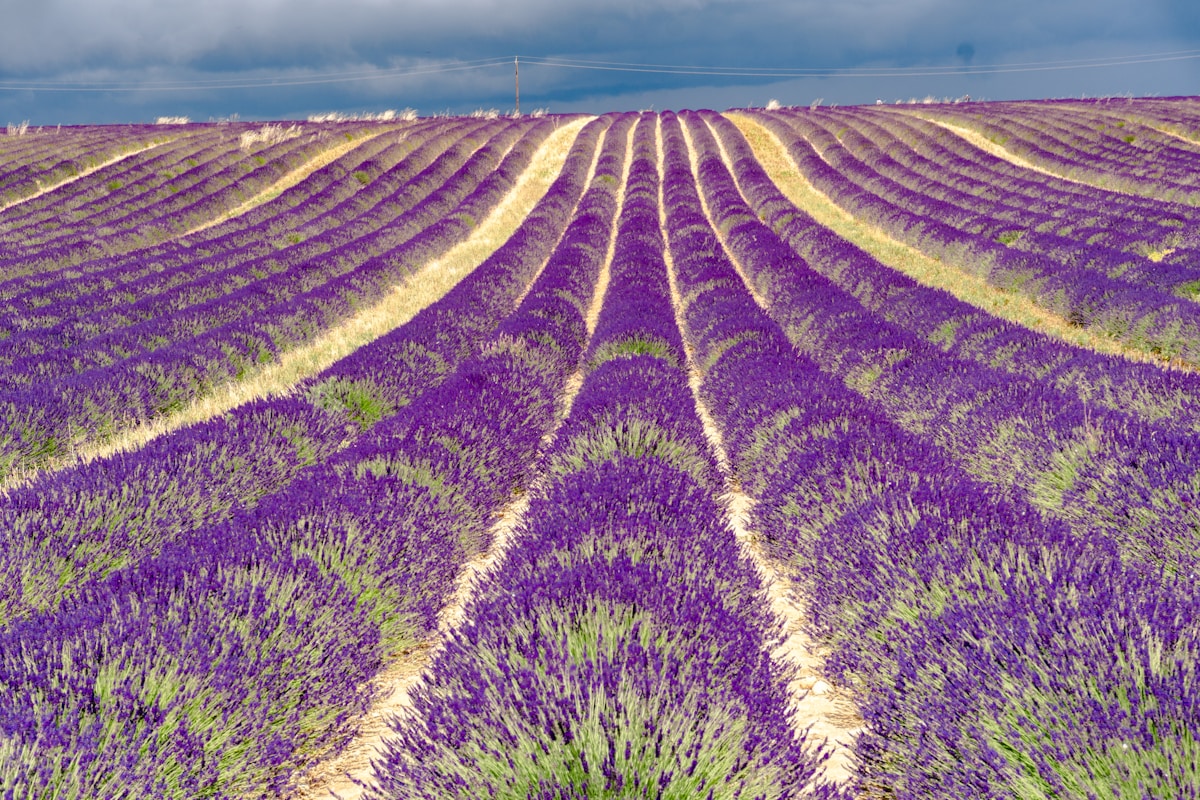 Village français colorato