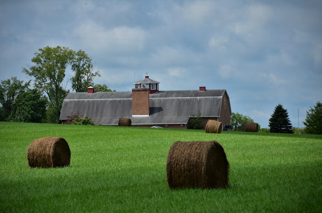 a building with bales of hay in a field, Hay rolls and unusual barn