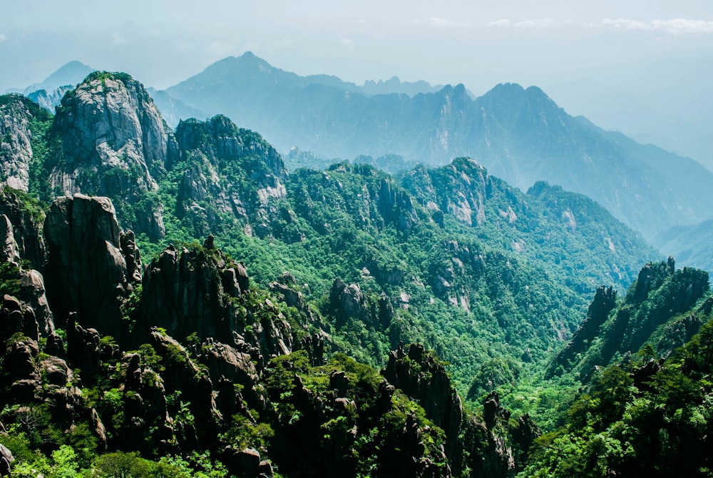 a mountain range with trees