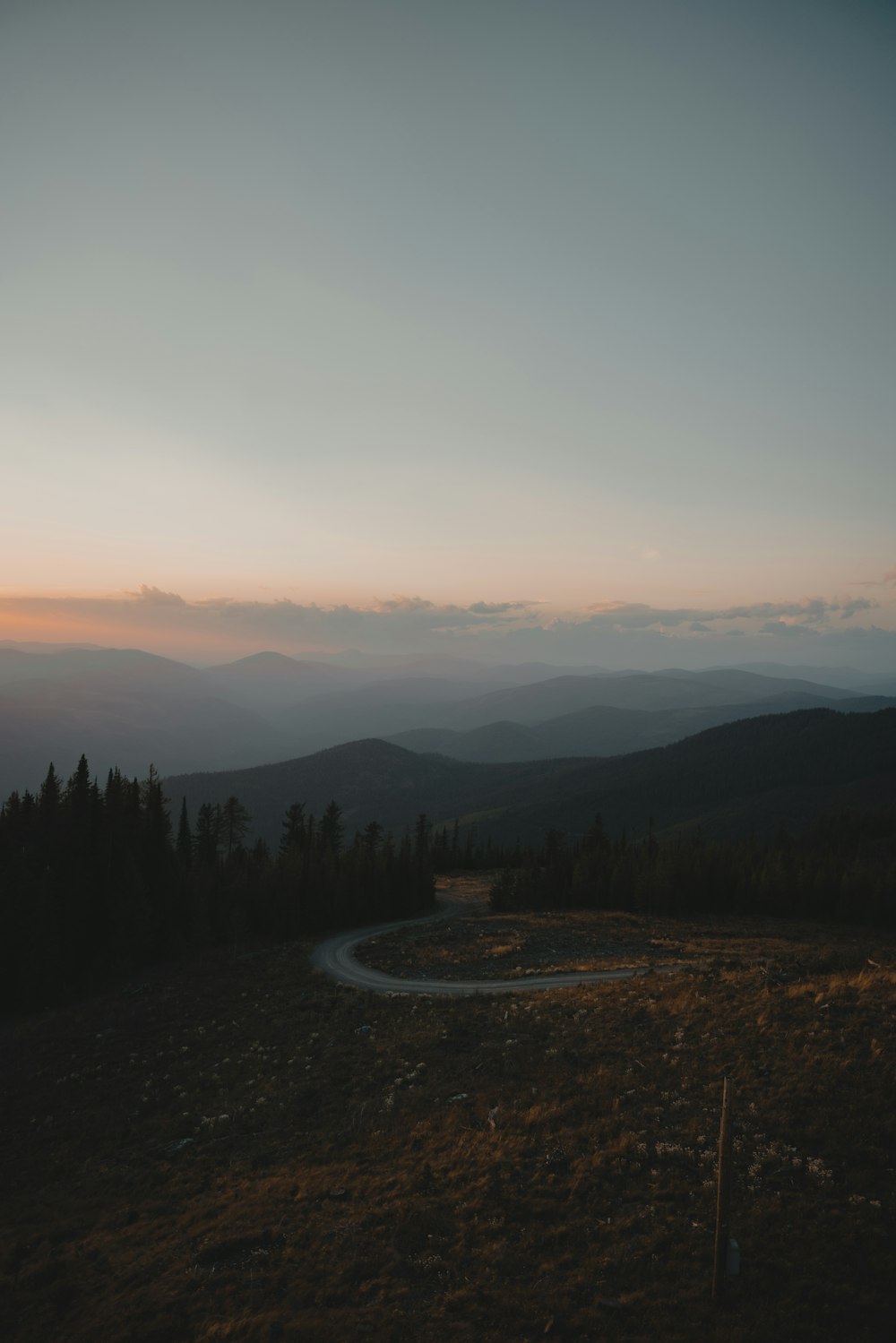 a landscape with trees and hills in the back