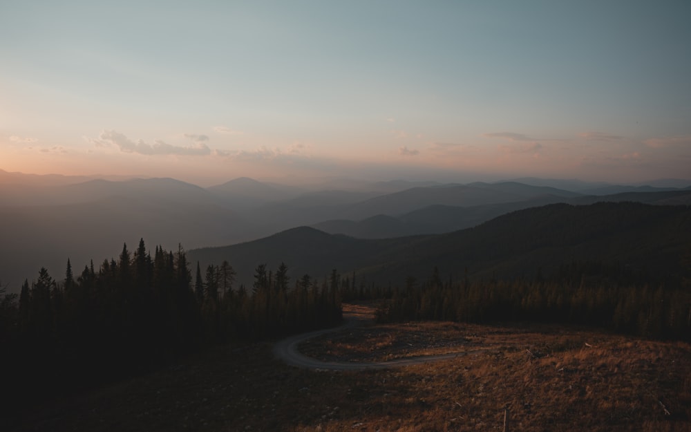 a landscape with trees and hills