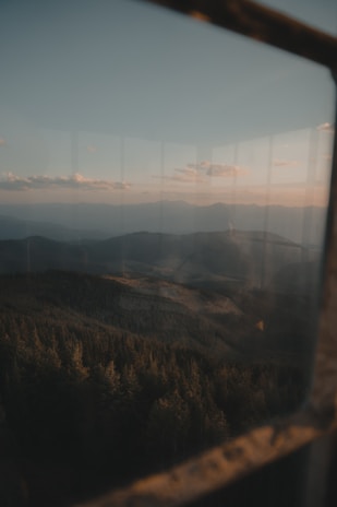 A serene forest view from a luxury room balcony at Vantara Resorts during golden hour.