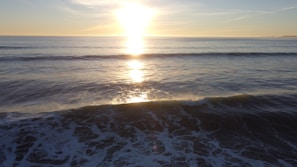 Sunset casting golden light over calm waters with a whale spouting in the distance.