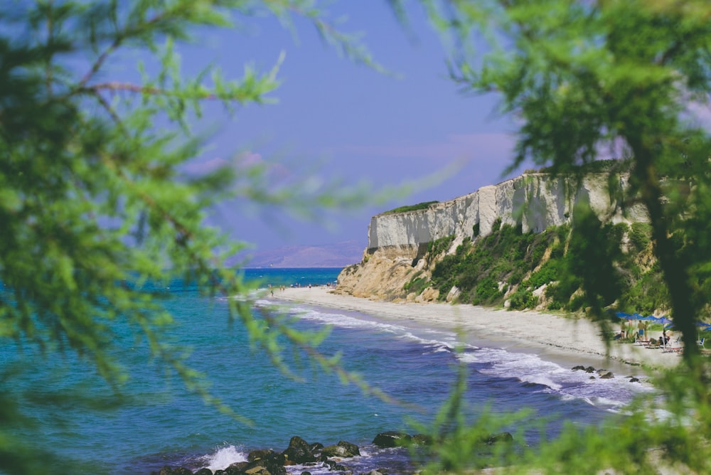 a beach with a cliff and trees