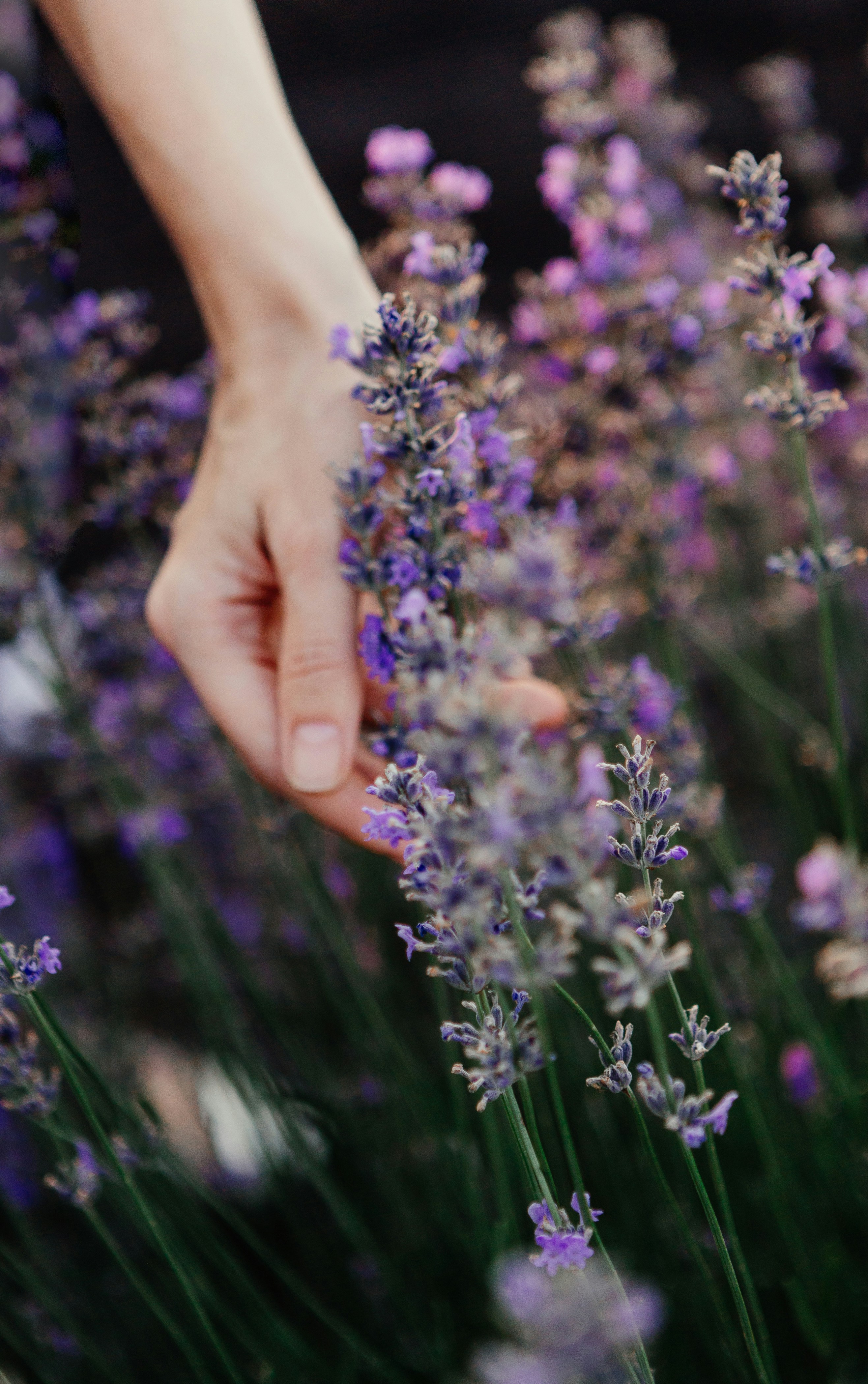 Photo by olga_kononenko