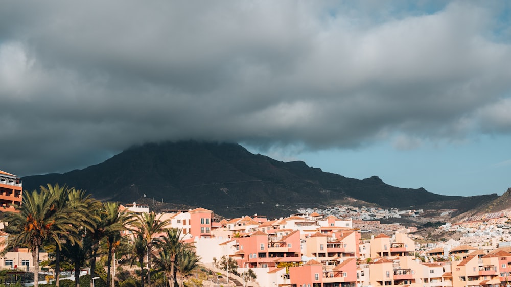 a city with trees and mountains in the background