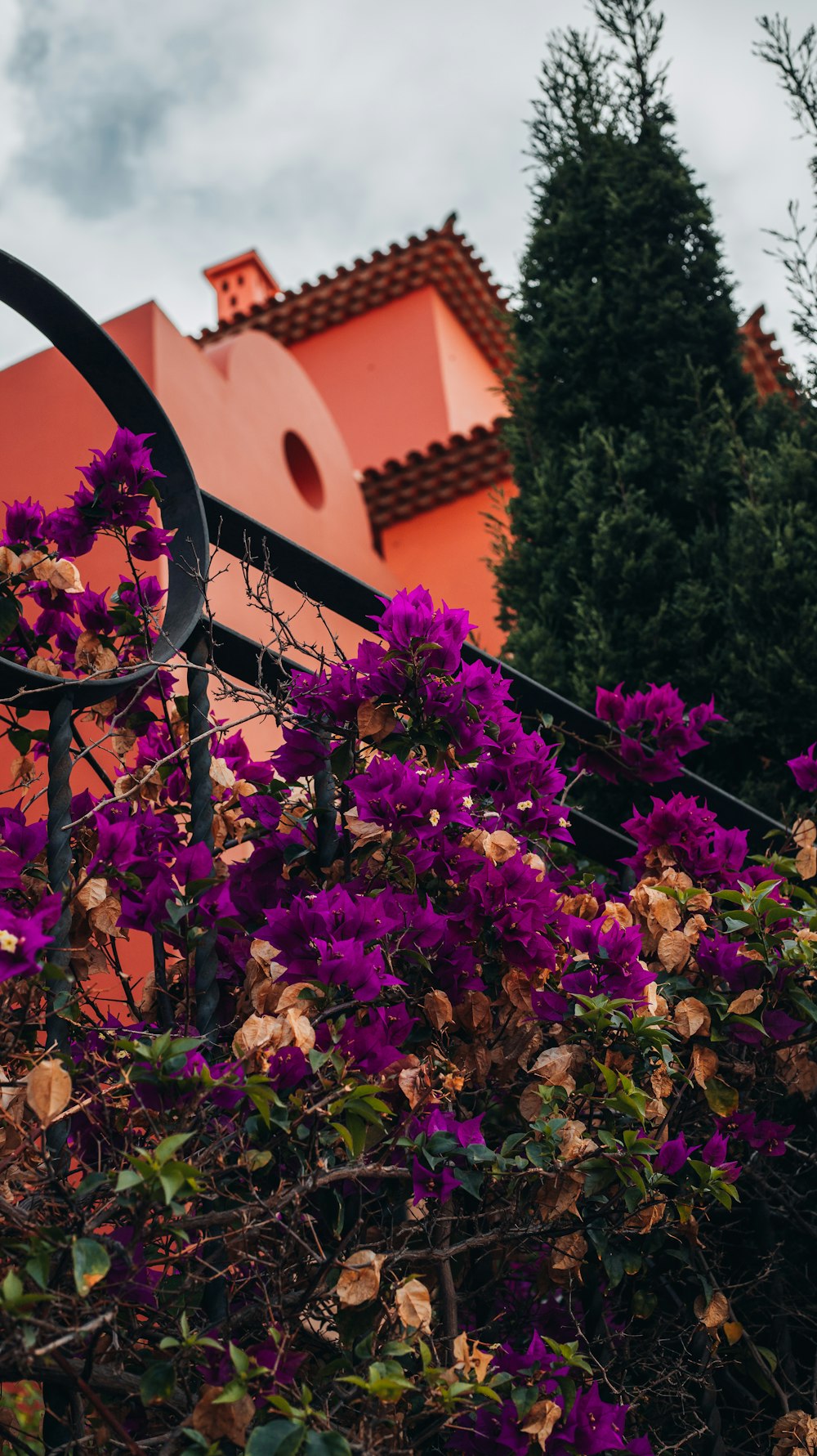 a group of flowers in front of a building