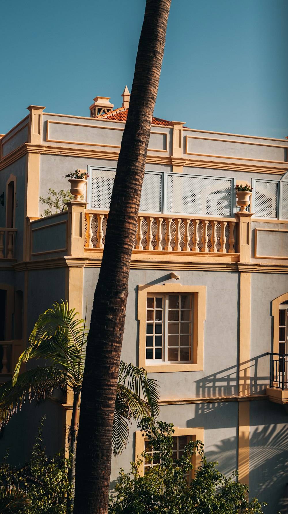 un edificio con un árbol delante