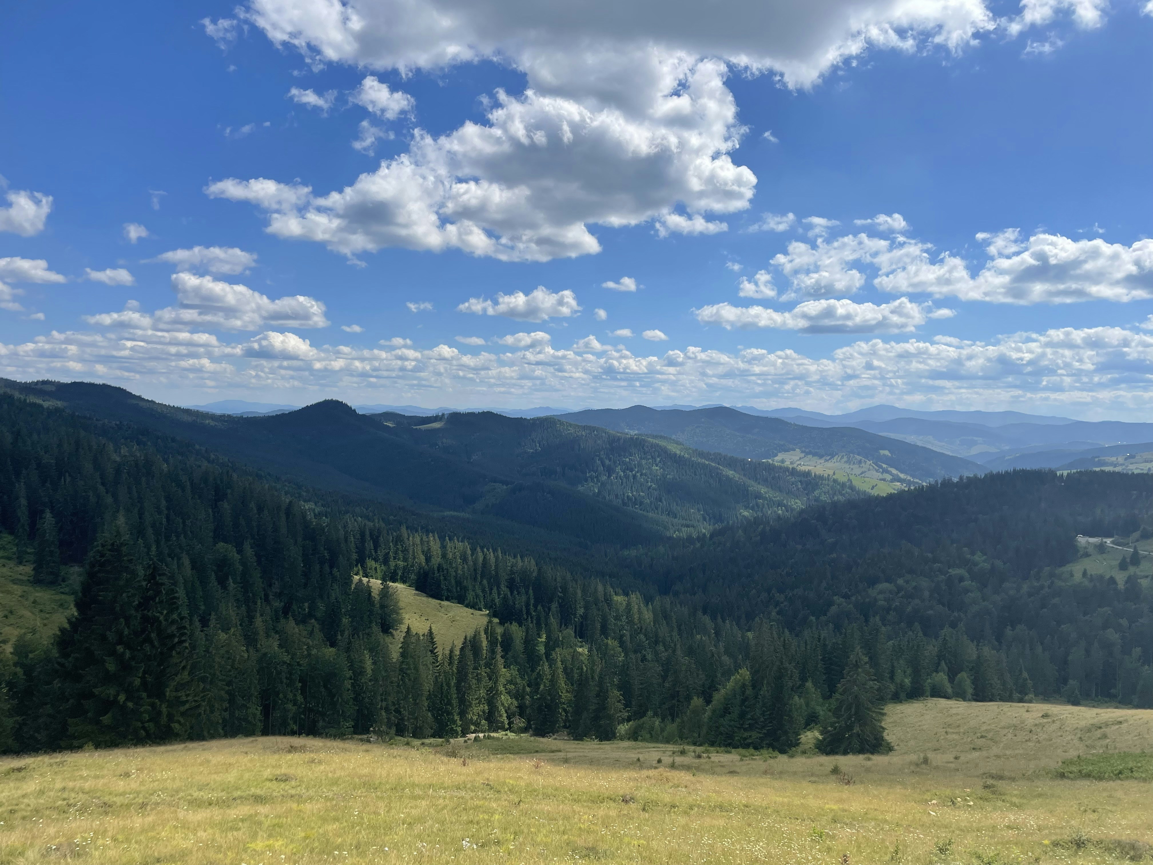 Photo by michaelaser