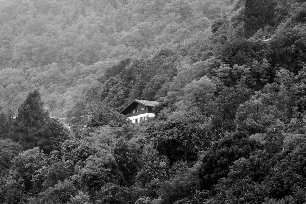 a house in the middle of a forest