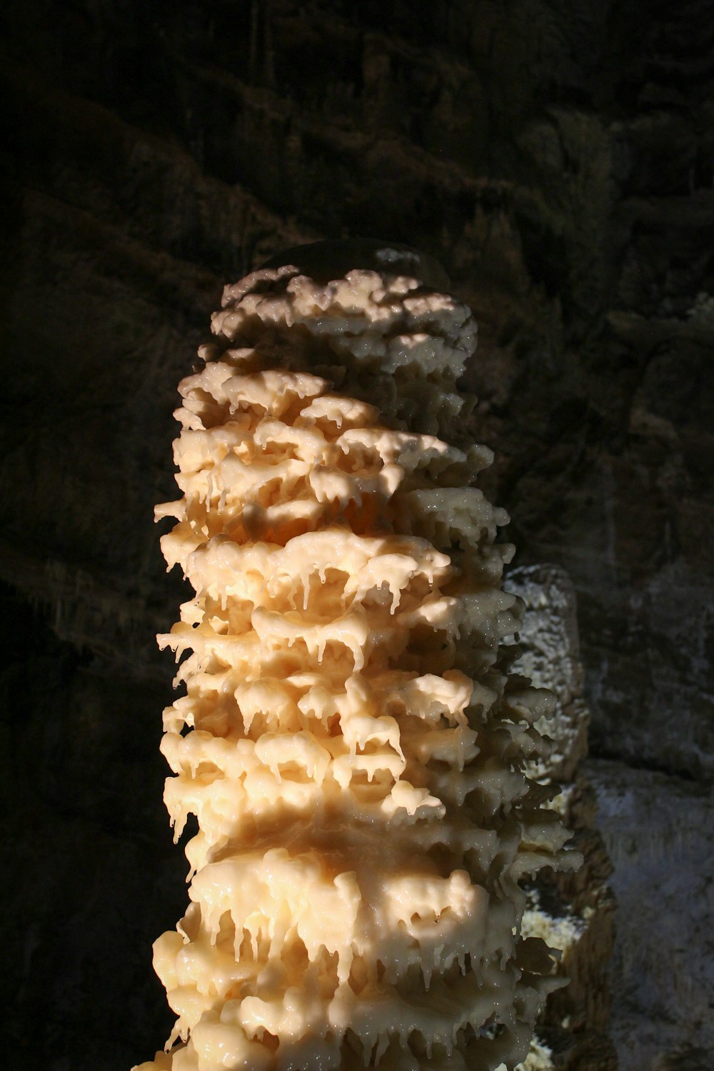 a close up of a rock