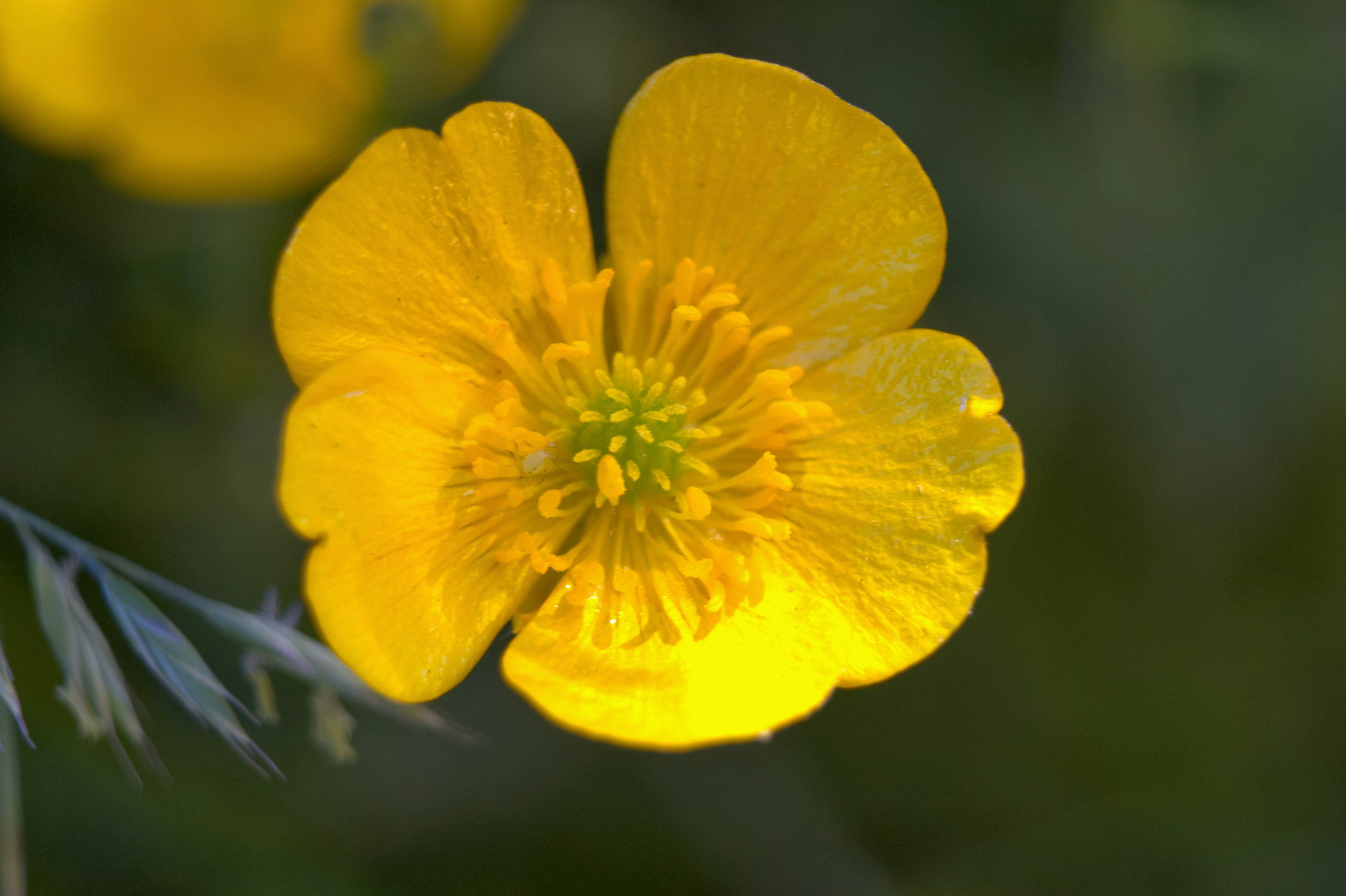 Photo by fidgetingferdie