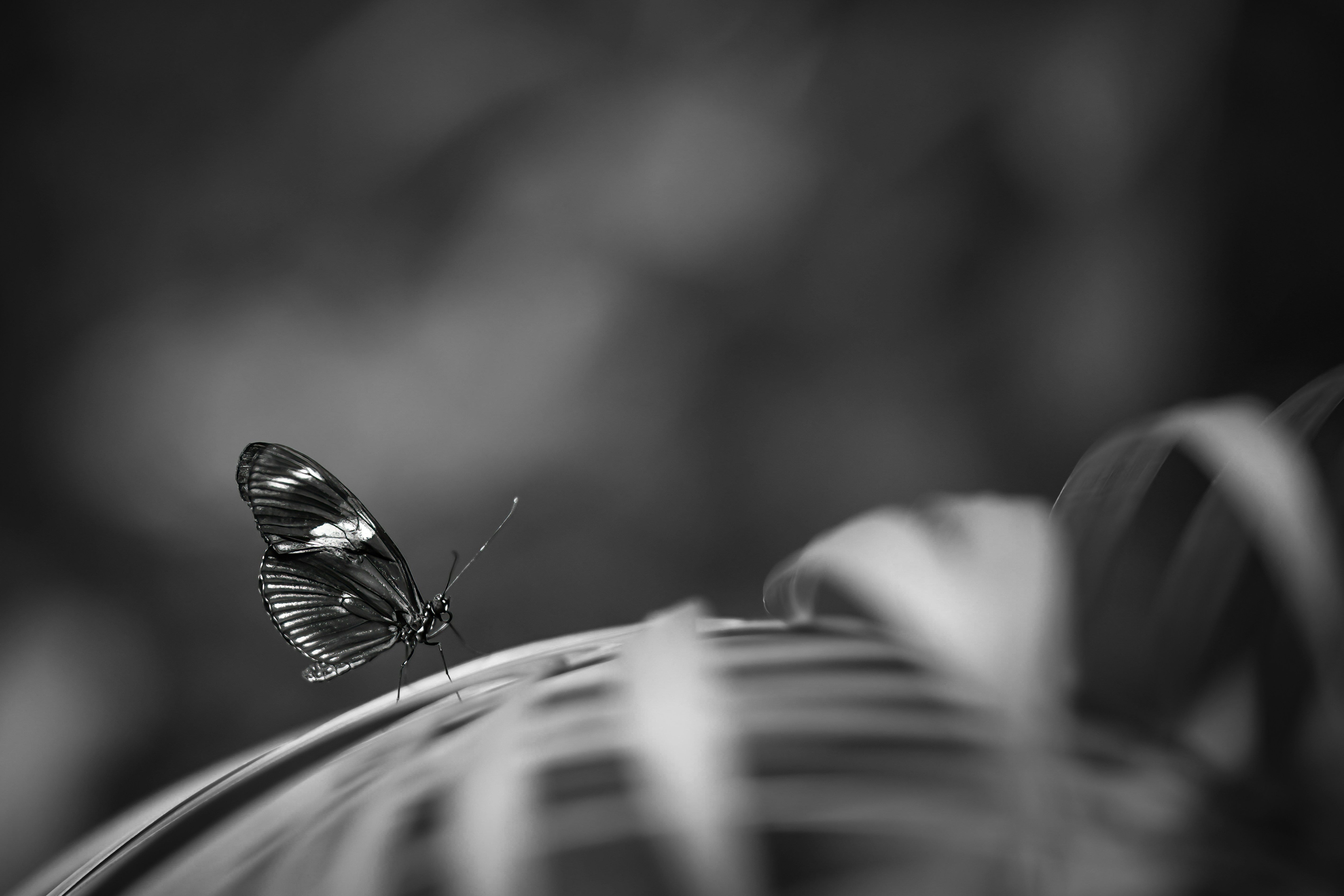 Photo by vincentvanzalinge