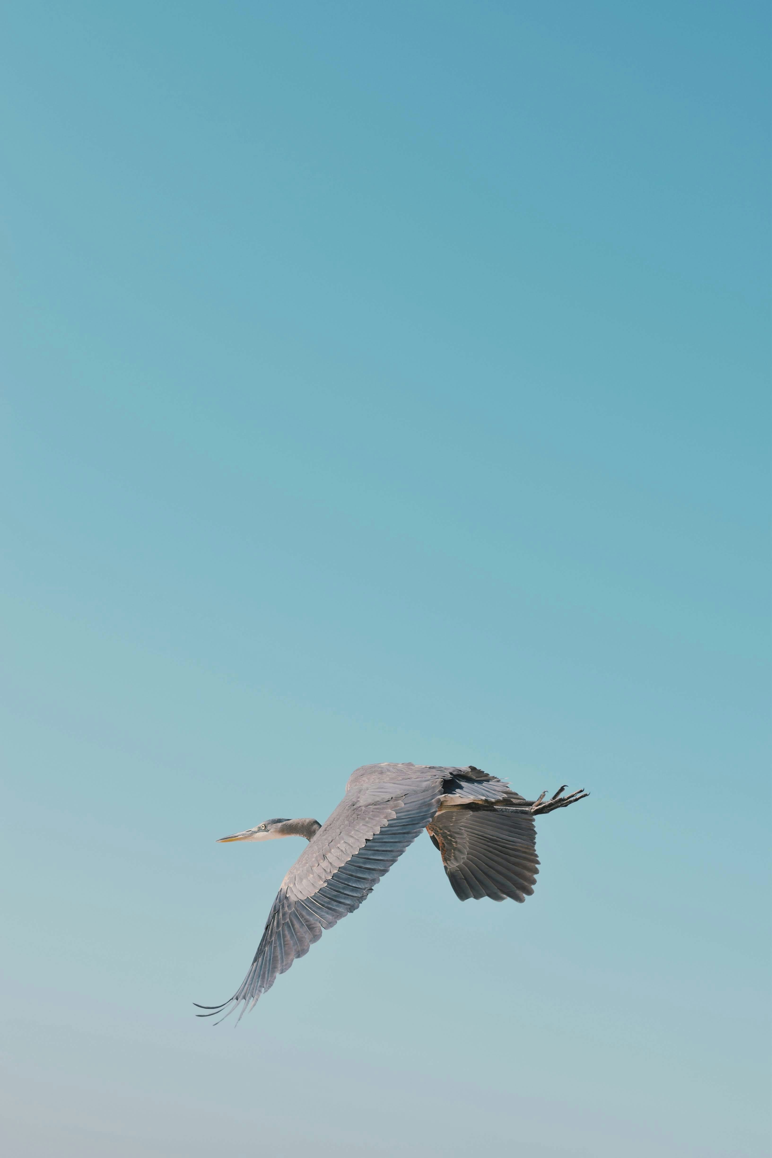 Photo by emilyotwell