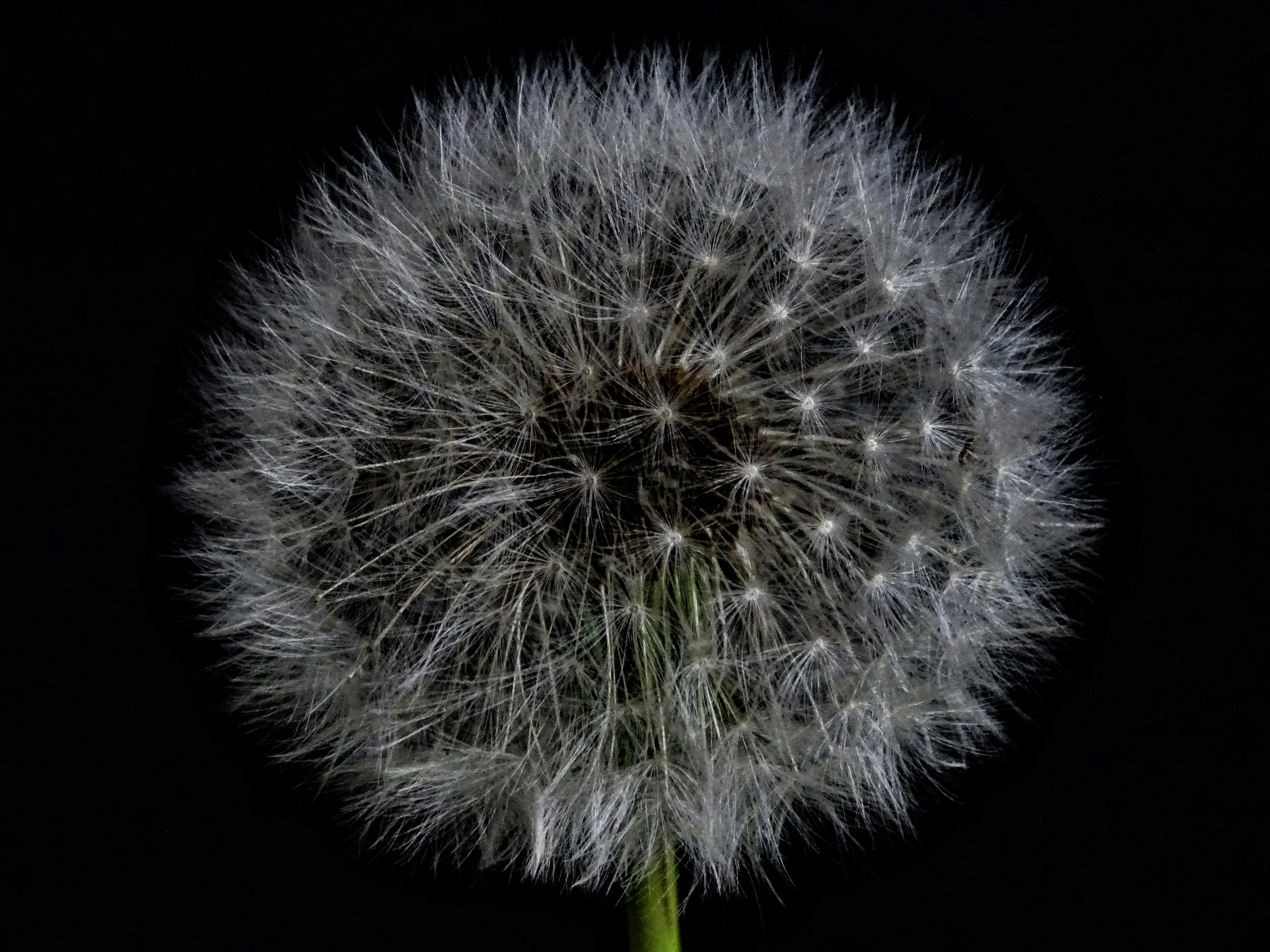 Photo by neringa_h_feld