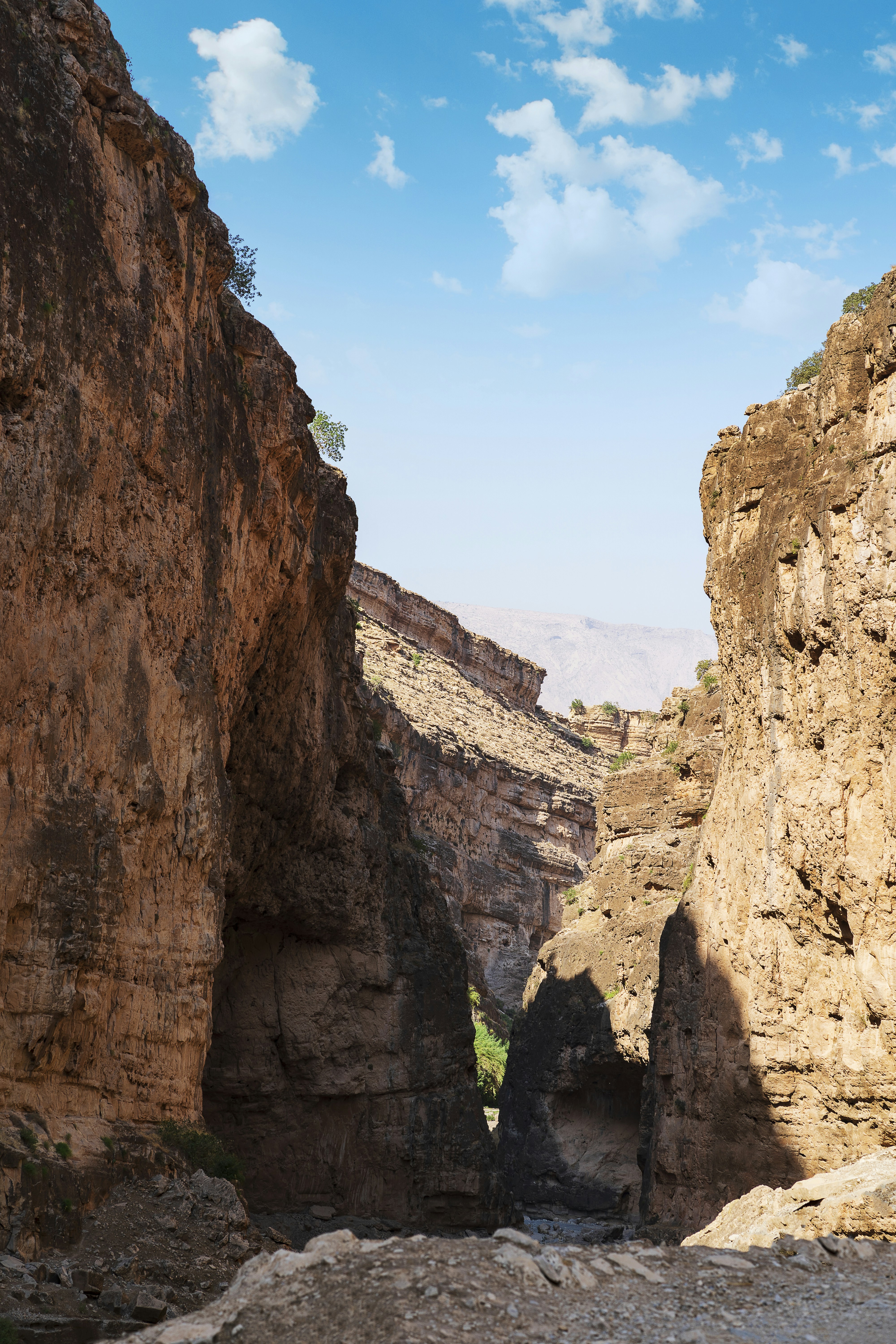 Photo by mostafafadaei