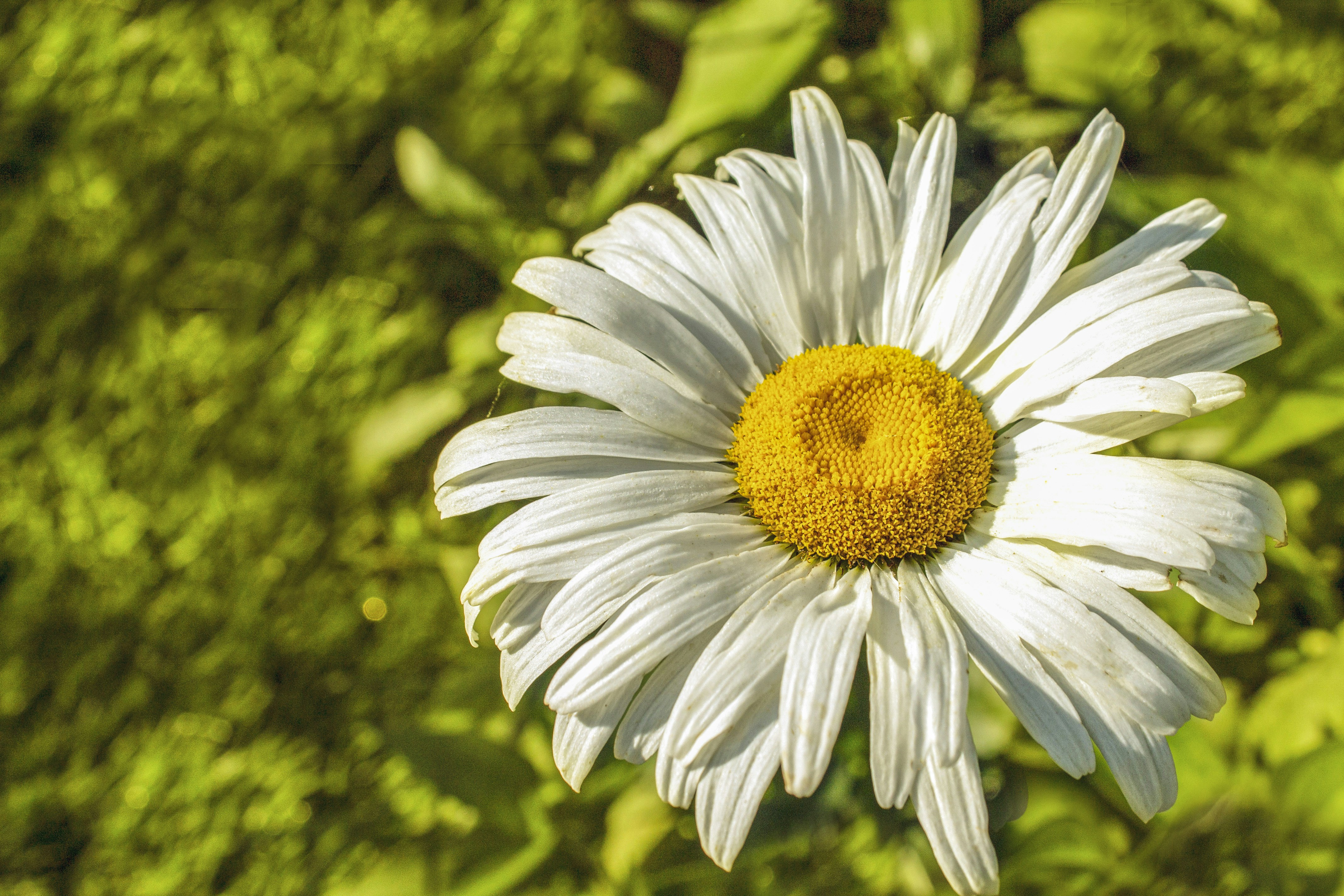 Photo by olgamusiichuck