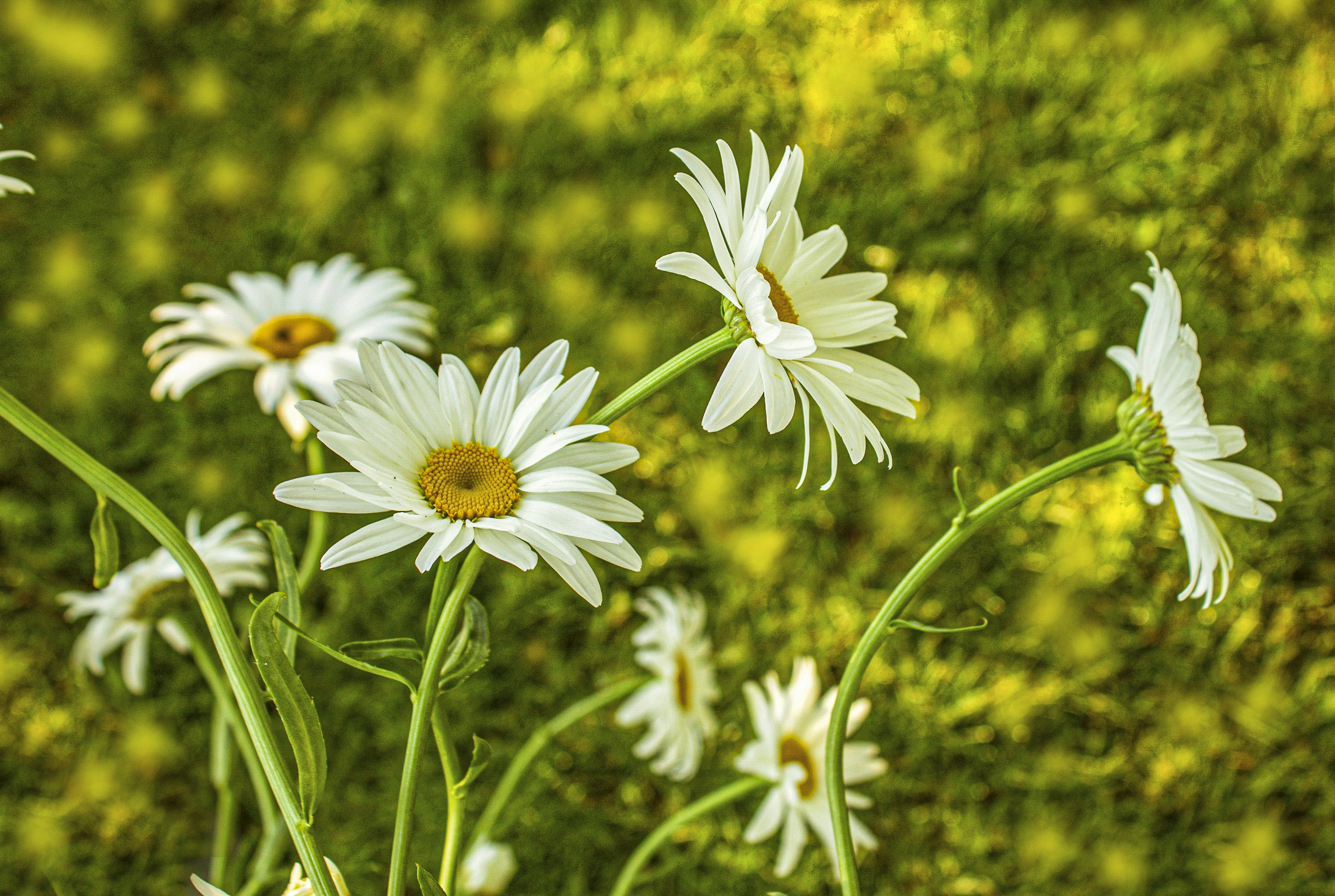 Photo by olgamusiichuck