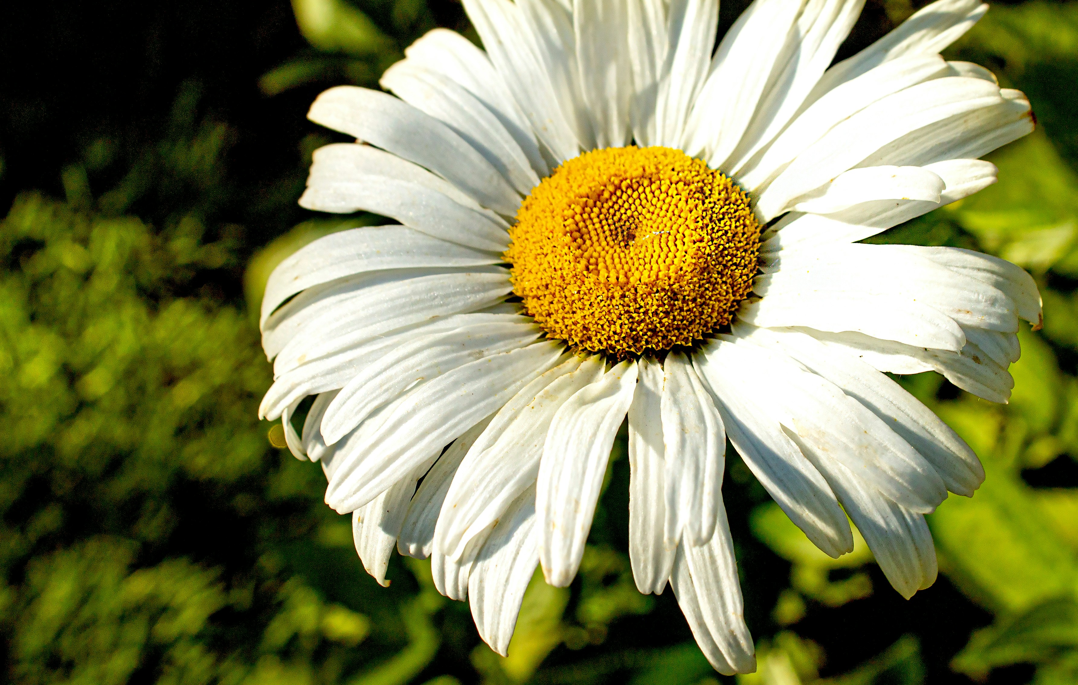 Photo by olgamusiichuck