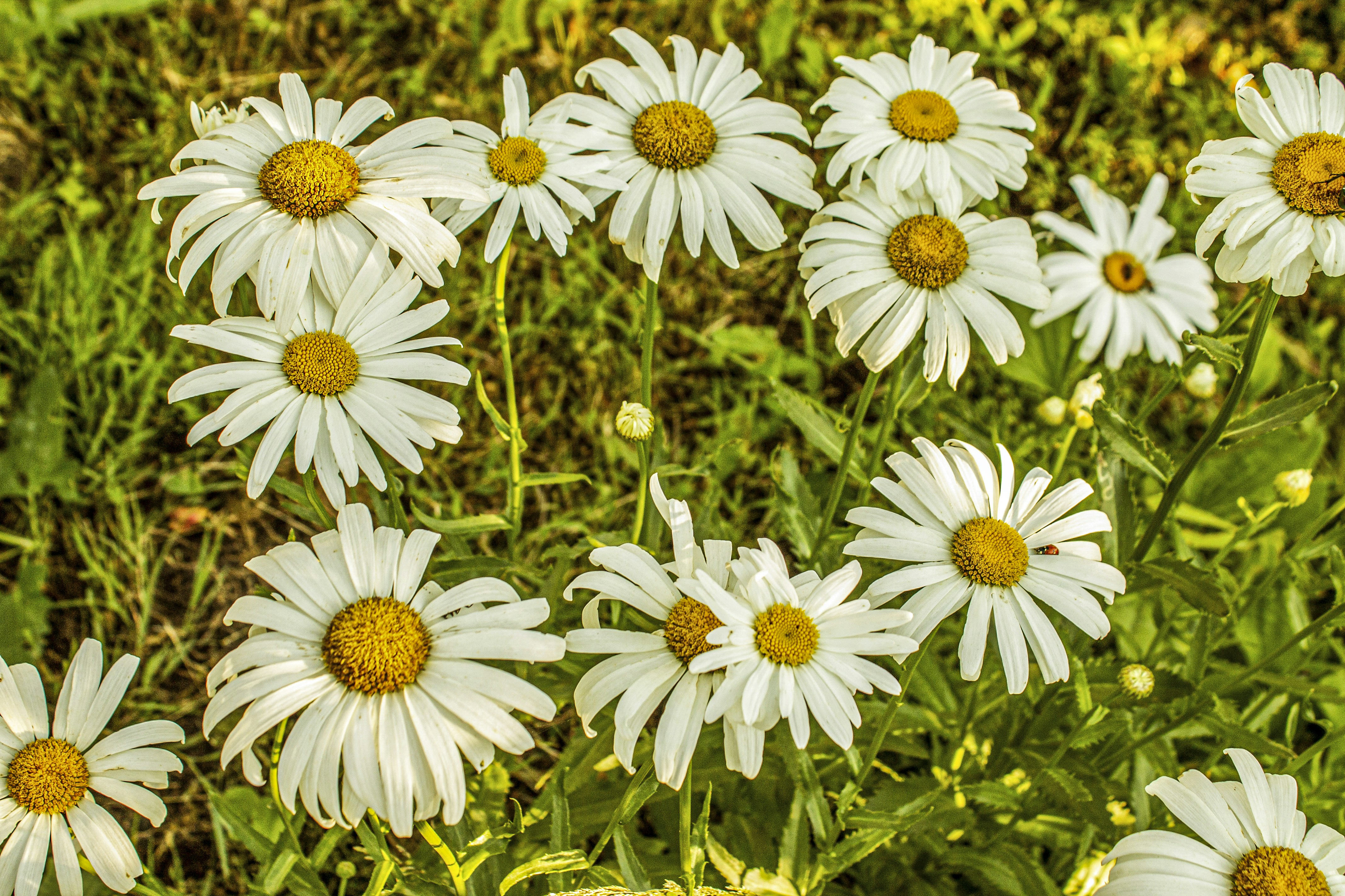 Photo by olgamusiichuck