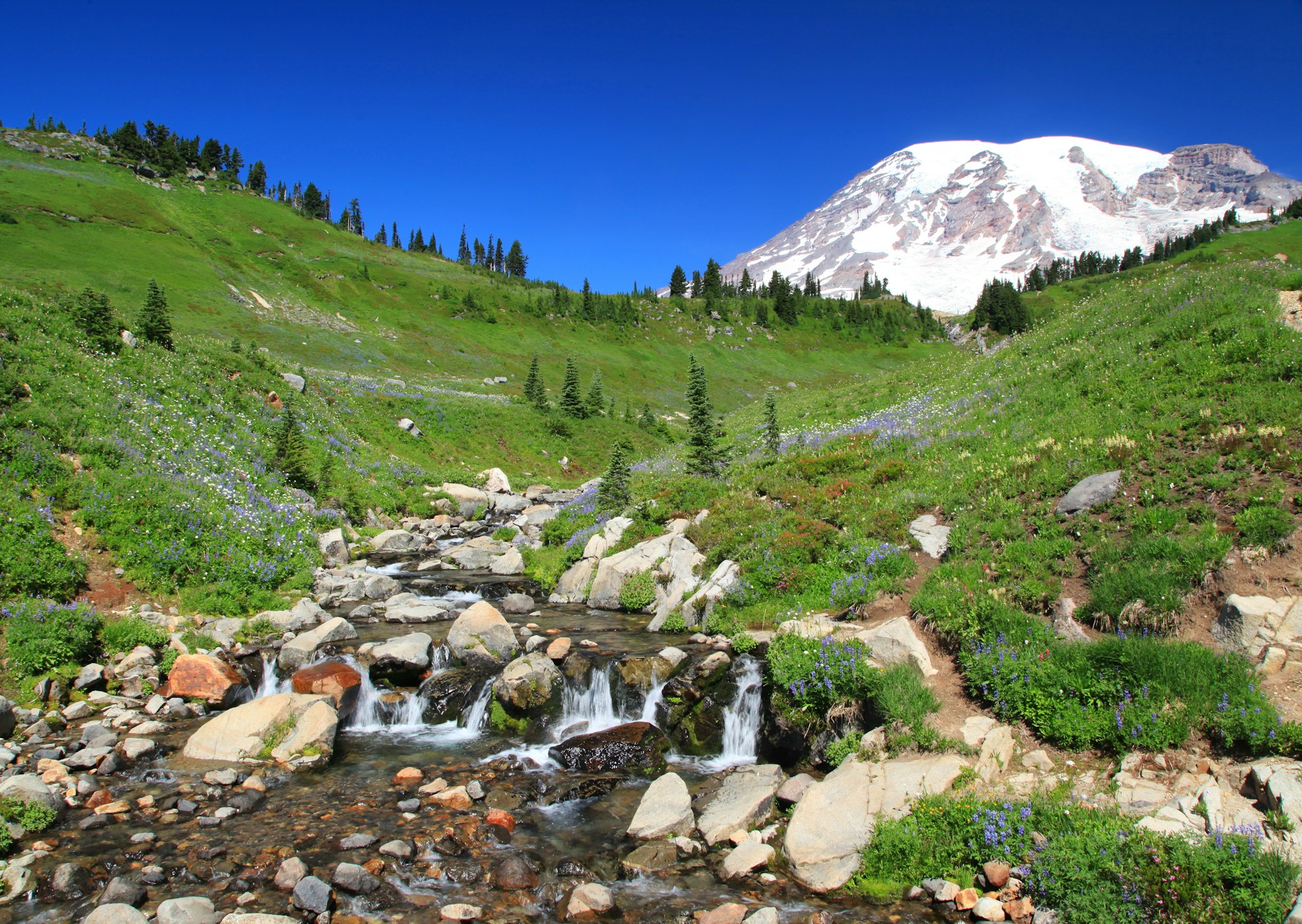 a stream running through a grassy area with a snowy mountain in the background