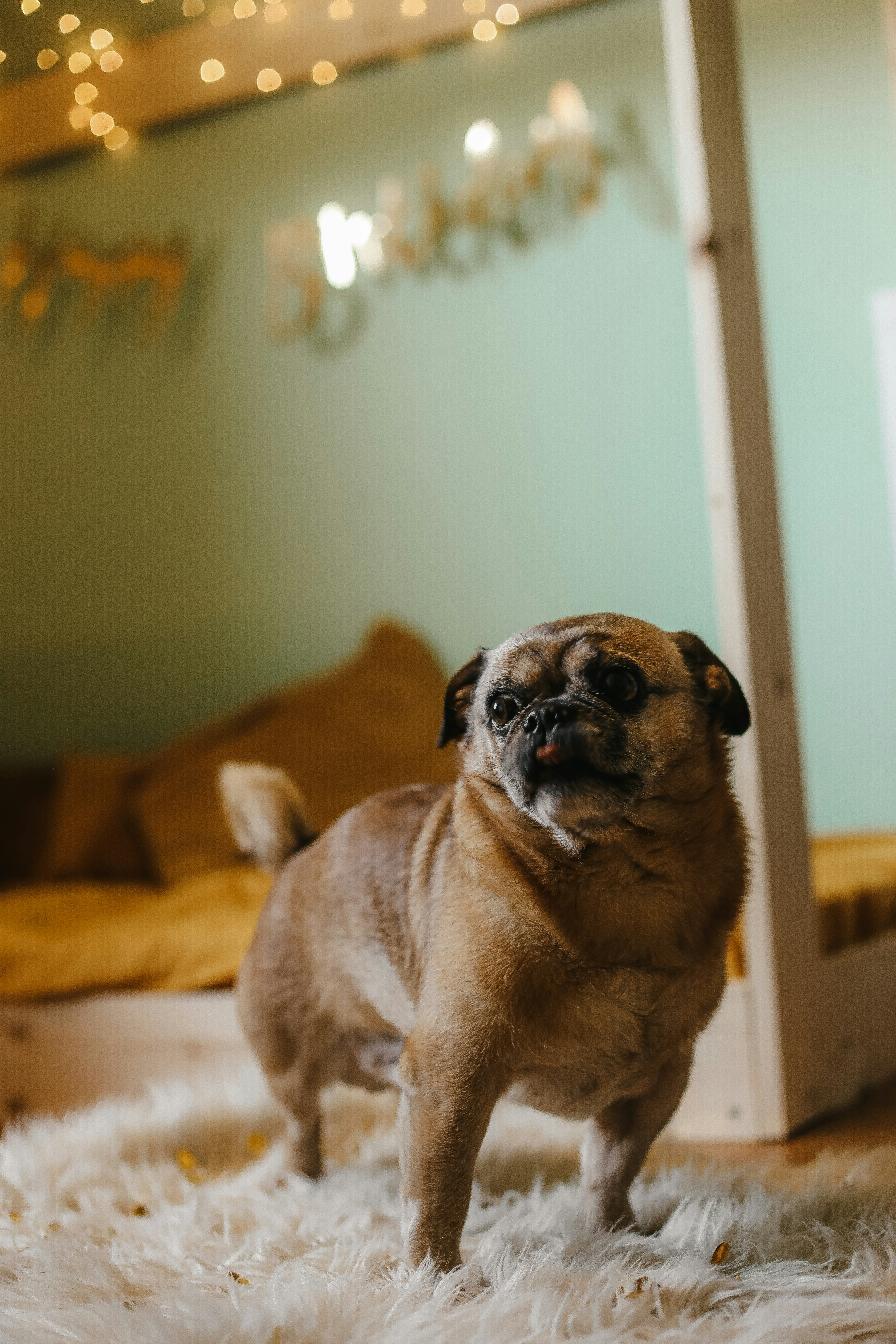 Photo by whynotnatali