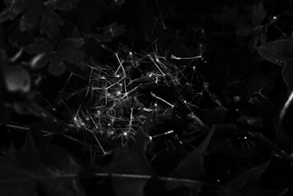 A faint web of optical fibers barely visible against a pitch-black background.