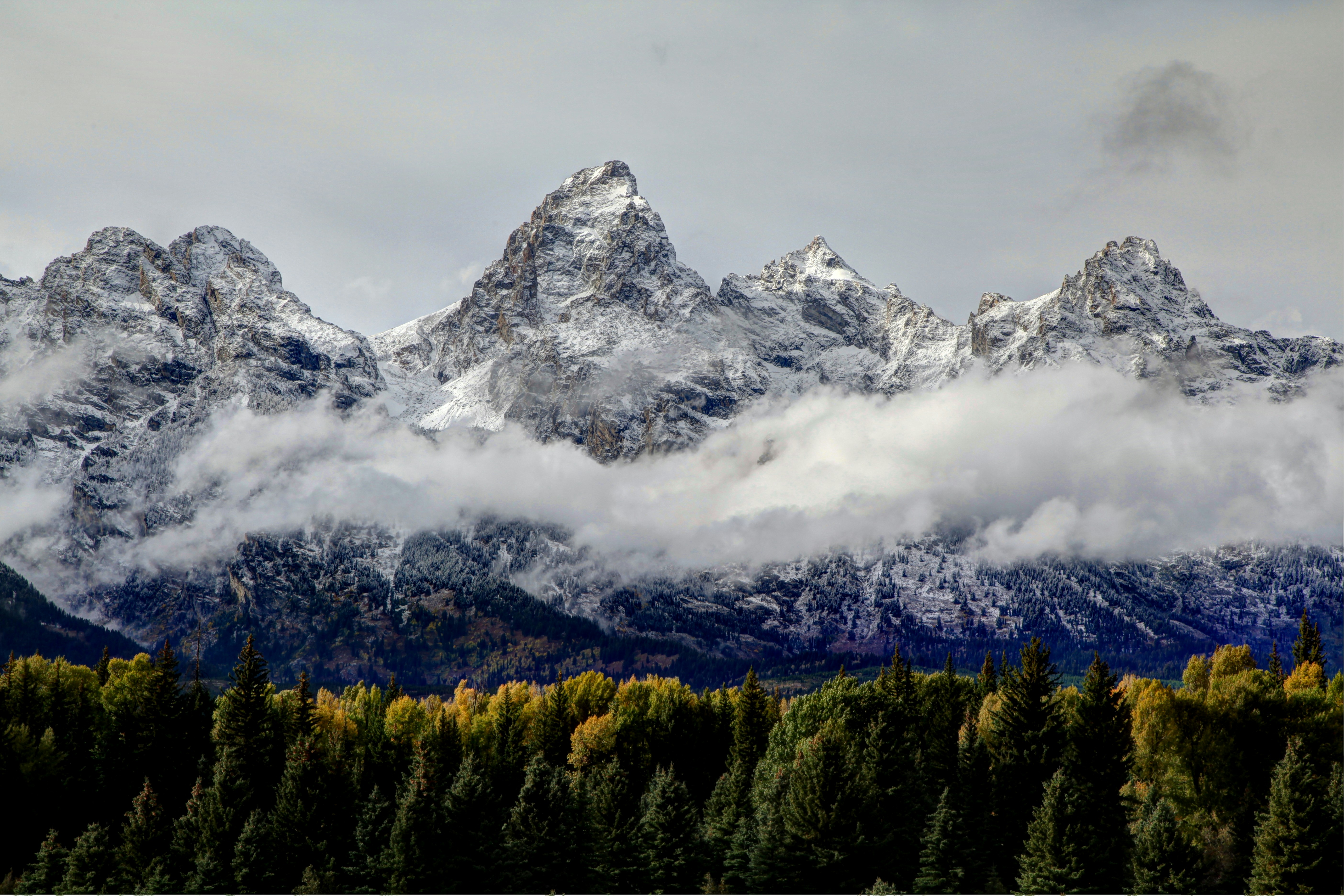 Photo by goldenplover31