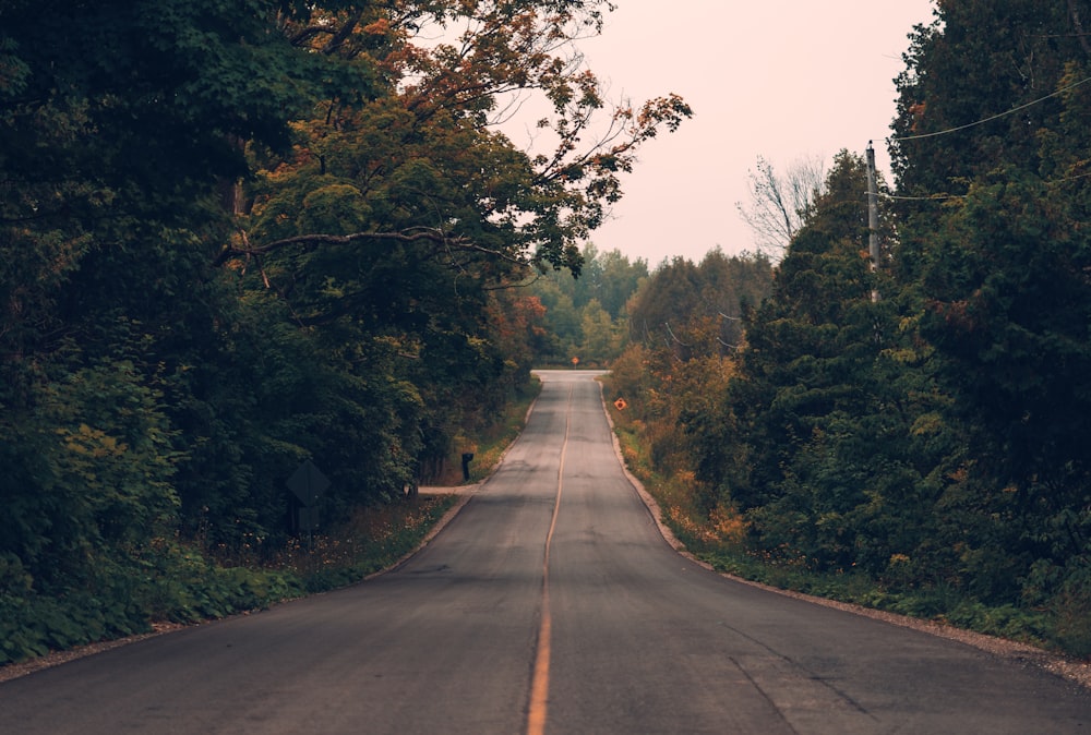 a road with trees on the side